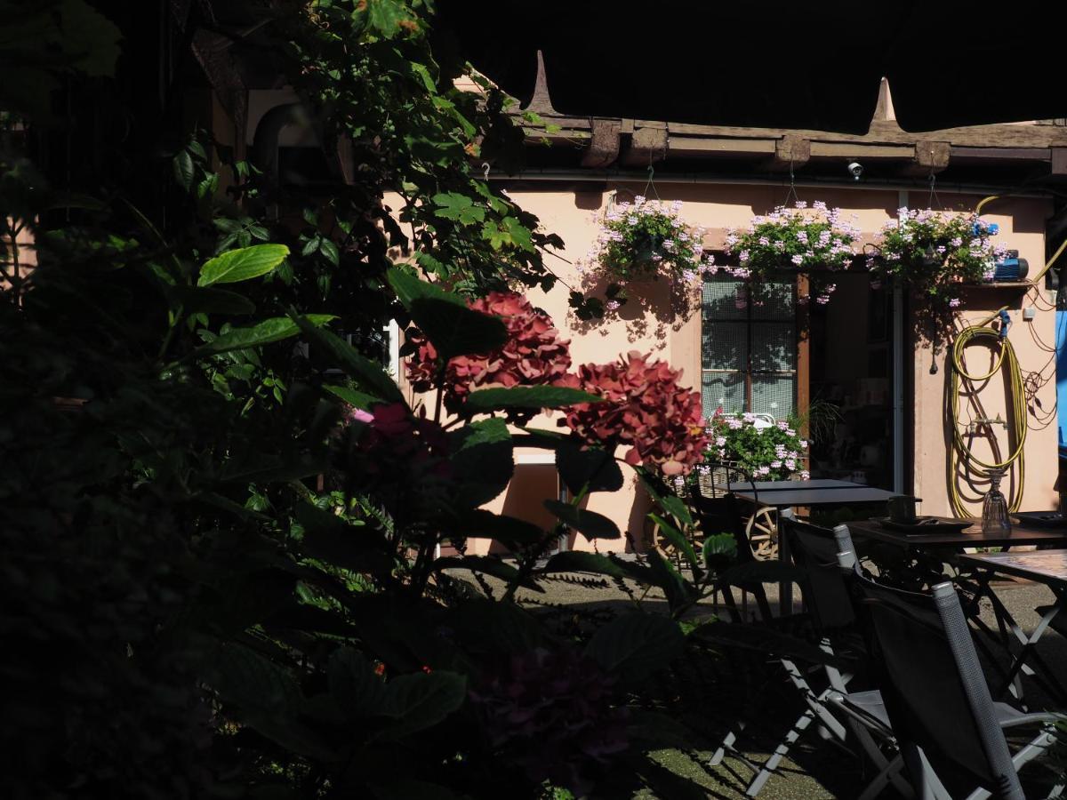Chambres D'Hotes Chez Caroline Colmar Eksteriør billede